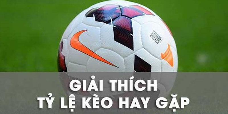 Cách đọc những tỷ lệ bóng đá cơ bản nhất 2024
