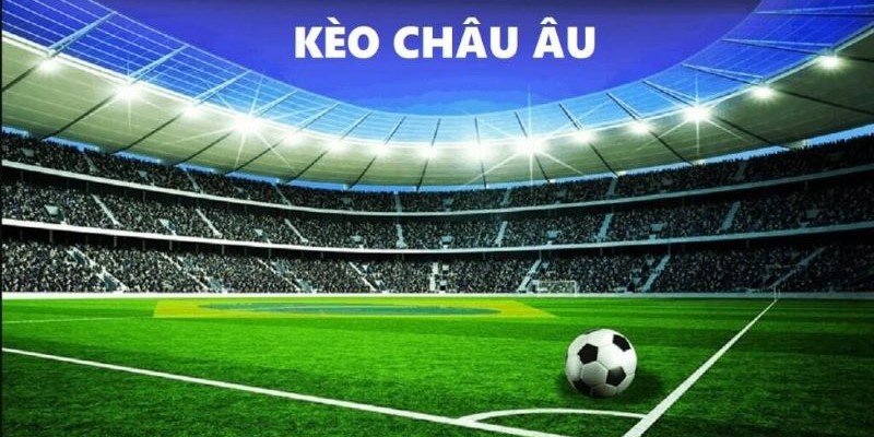 Những lưu ý quan trọng khi đặt cược trực tuyến