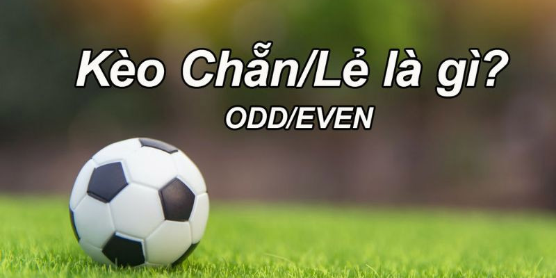 Kèo thể thao Chẵn Lẻ được đông đảo người chơi lựa chọn cá cược