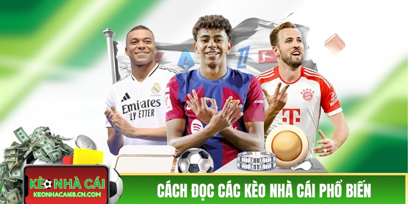 Trực tiếp kèo nhà cái là gì và hướng dẫn cách đọc chuẩn xác 3 Cách đọc các kèo nhà cái phổ biến