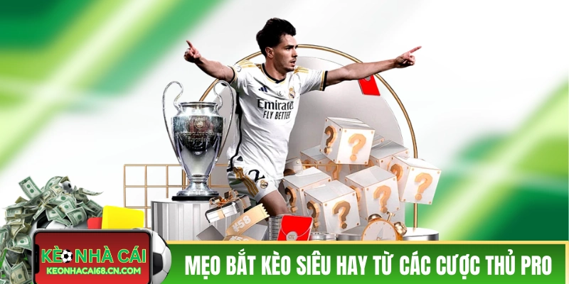 Trực tiếp kèo nhà cái là gì và hướng dẫn cách đọc chuẩn xác 4 Mẹo bắt kèo siêu hay từ các cược thủ pro