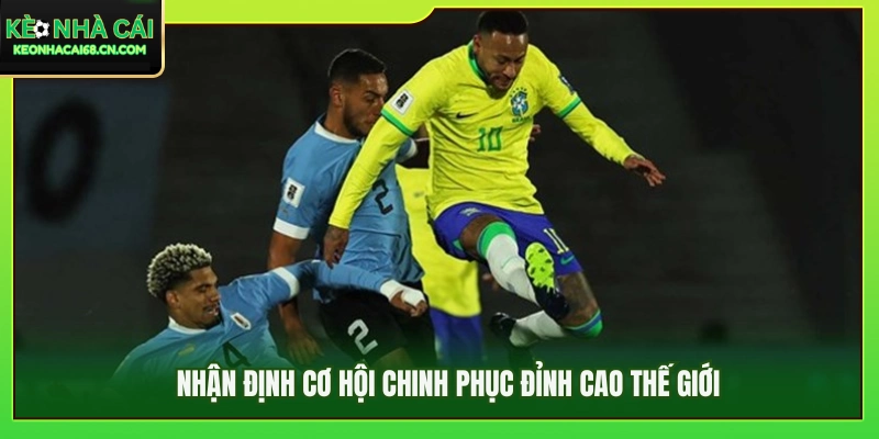 Đánh giá khả năng vươn tới ngôi vương thế giới 