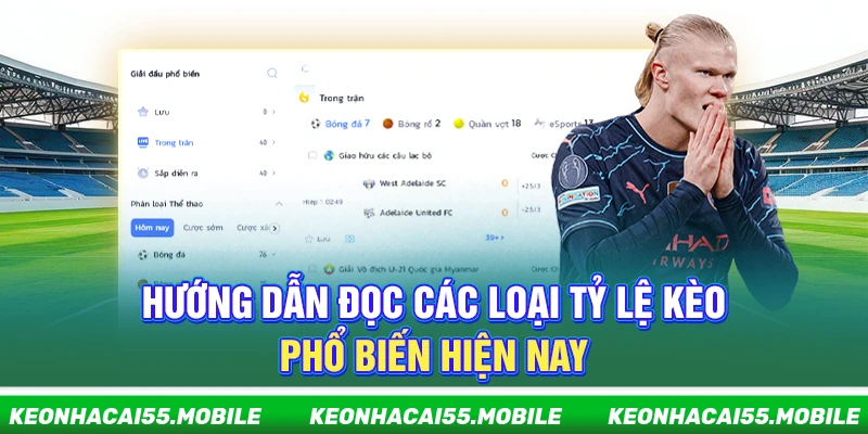 Kèo Nhà Cái: Keonhacai 5 Trực Tiếp, Soi Kèo Bóng Đá Nhanh Nhất 13 Hướng dẫn đọc các loại tỷ lệ kèo phổ biến hiện nay