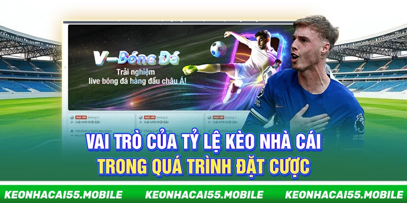 Kèo Nhà Cái: Keonhacai 5 Trực Tiếp, Soi Kèo Bóng Đá Nhanh Nhất 12 Vai trò của tỷ lệ kèo nhà cái trong quá trình đặt cược
