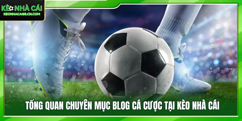 Khám phá blog cá cược đa dạng và chuyên sâu tại Kèo Nhà Cái 