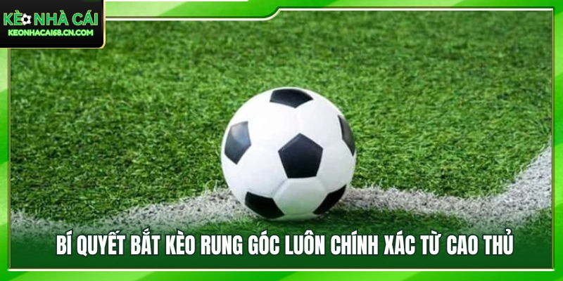 Mẹo phân tích trận đấu để lựa chọn kèo hợp lý hơn 