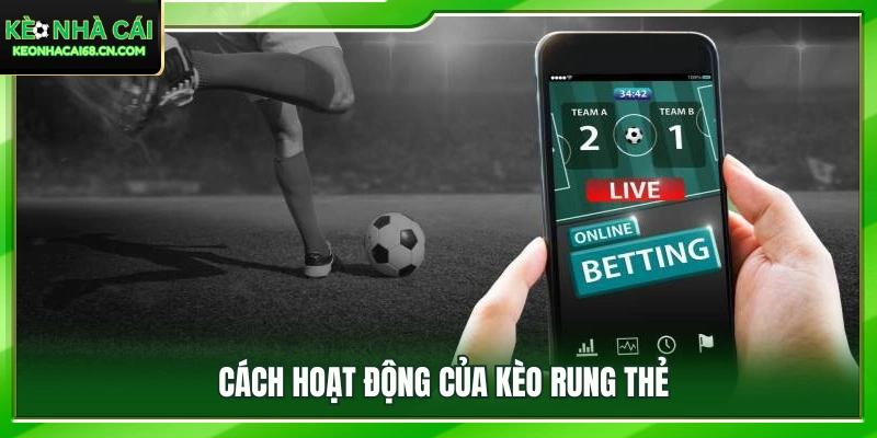 Tìm hiểu cơ chế vận hành của kèo rung thẻ 
