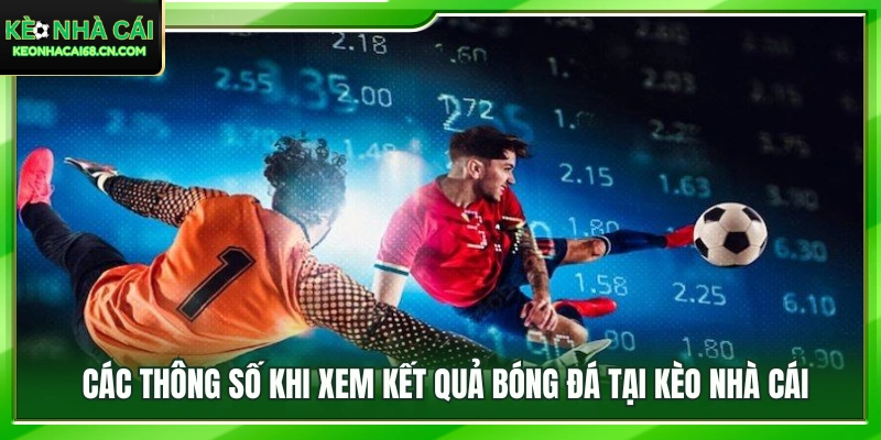 Kết Quả Bóng Đá - Cập Nhật Tỷ Số Trực Tuyến 24H 2 Khám phá các chỉ số thống kê chi tiết